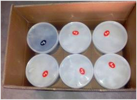 �p�M�ݾ����ܷ��z